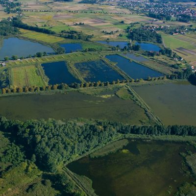 Wrzosowa Kraina - stawy przemkowskie z lotu ptaka